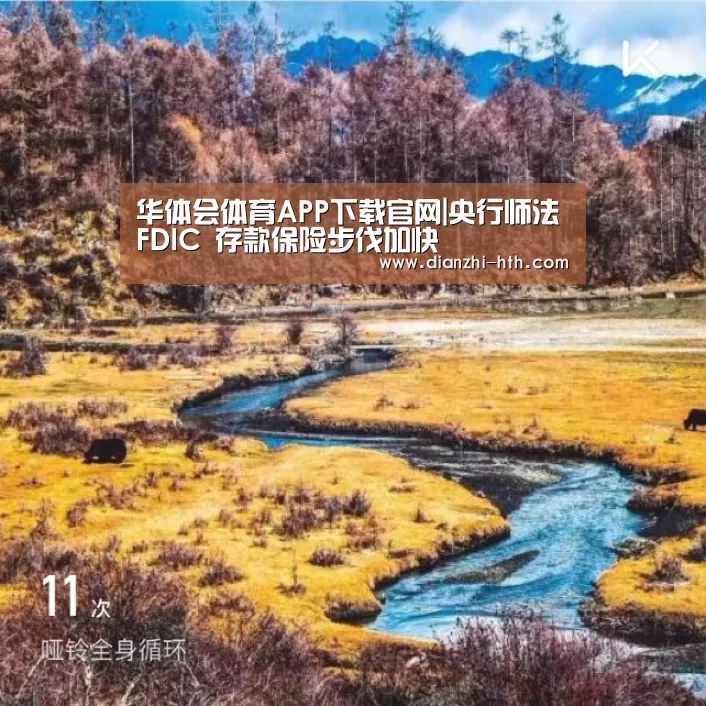 华体会体育APP下载官网|央行师法FDIC 存款保险步伐加快(图1) 华体会体育官网入口