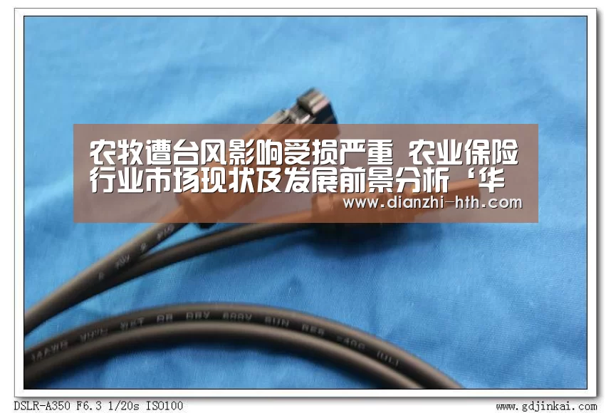华体会体育官方平台