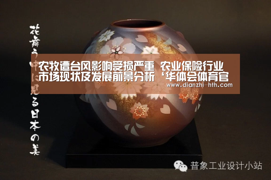 华体会体育APP下载官网