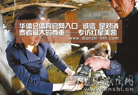华体会体育官网入口